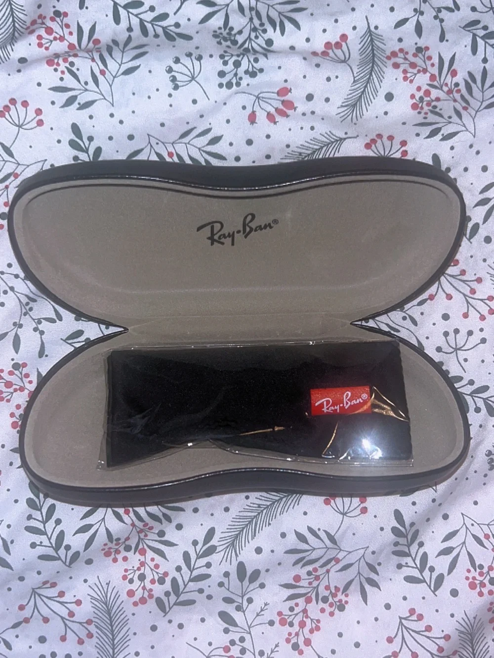 Ray-Ban Black Hard Sunglasses Case